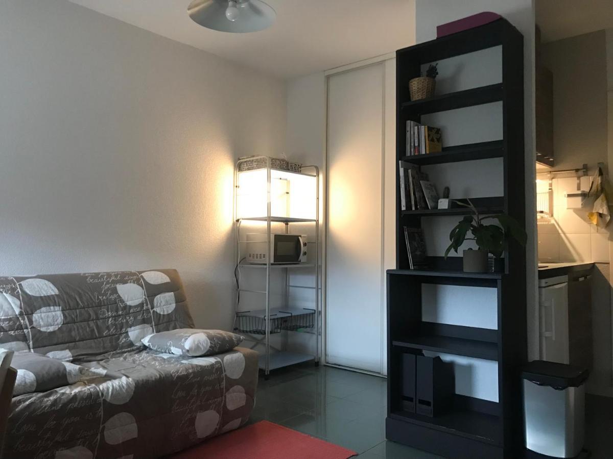 Appartement Dans Toulouse Hyper Centre Екстер'єр фото